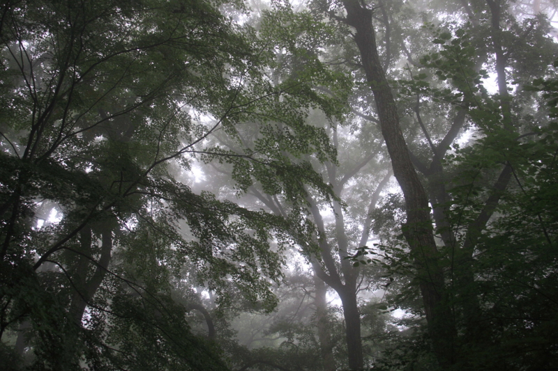 f:id:hiroshisj:20090709094240j:image f:id:hiroshisj:20090709094240j:image