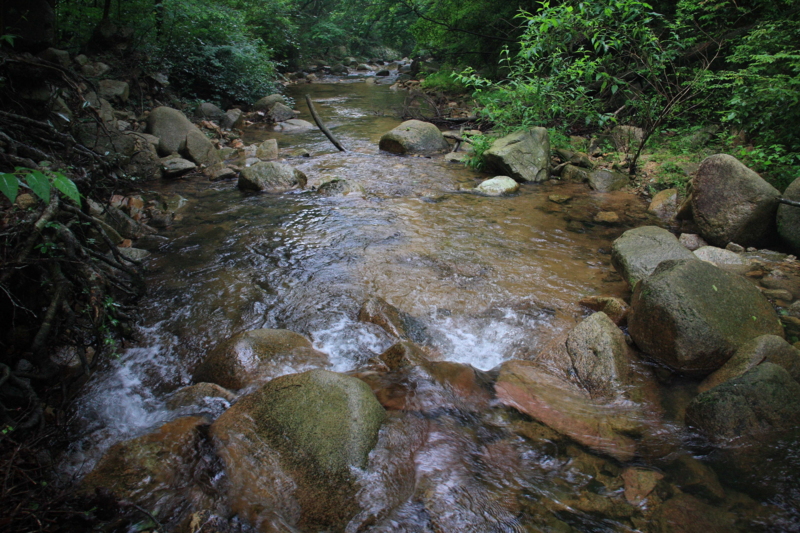 f:id:hiroshisj:20090709124725j:image f:id:hiroshisj:20090709124725j:image