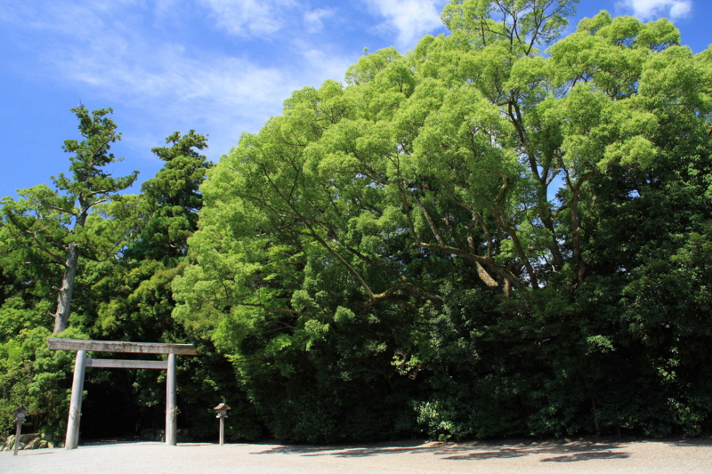 f:id:hiroshisj:20090716092745j:image