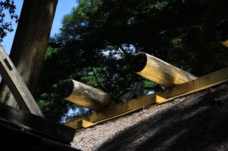 f:id:hiroshisj:20090716094906j:image f:id:hiroshisj:20090716094906j:image