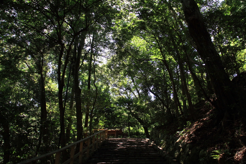 f:id:hiroshisj:20090716095235j:image