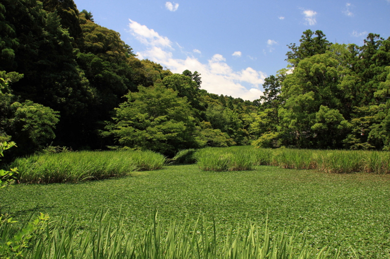 f:id:hiroshisj:20090716112905j:image