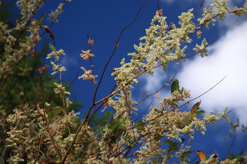 f:id:hiroshisj:20091012125757j:image