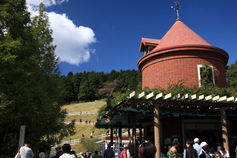 f:id:hiroshisj:20091012132527j:image
