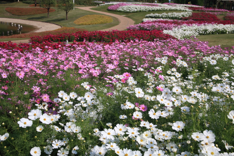 f:id:hiroshisj:20091014104238j:image