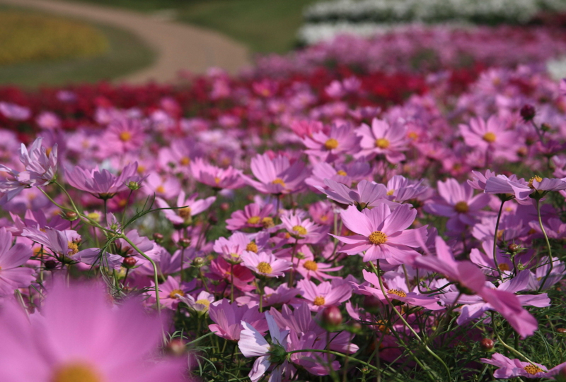 f:id:hiroshisj:20091014104250j:image