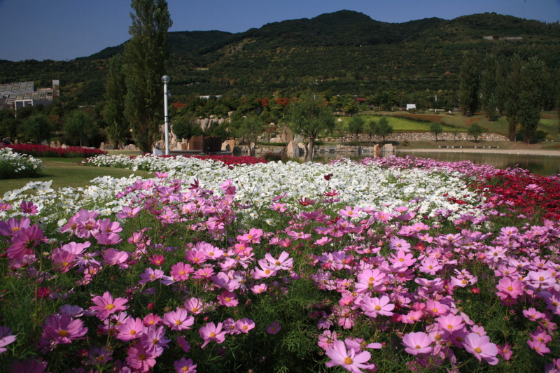 f:id:hiroshisj:20091014104613j:image