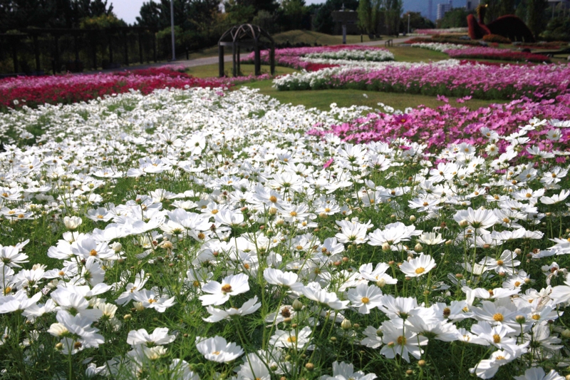 f:id:hiroshisj:20091014104948j:image