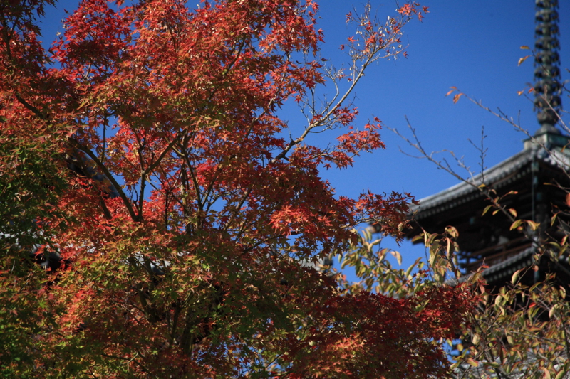 f:id:hiroshisj:20091021111512j:image