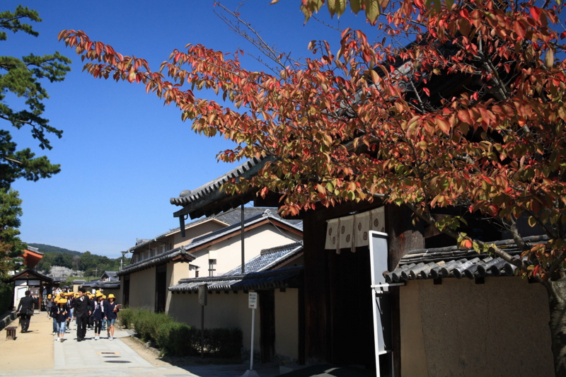 f:id:hiroshisj:20091021114321j:image