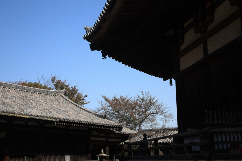 f:id:hiroshisj:20091021115337j:image