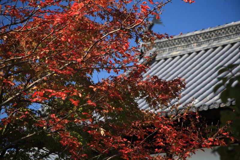 f:id:hiroshisj:20091021120035j:image
