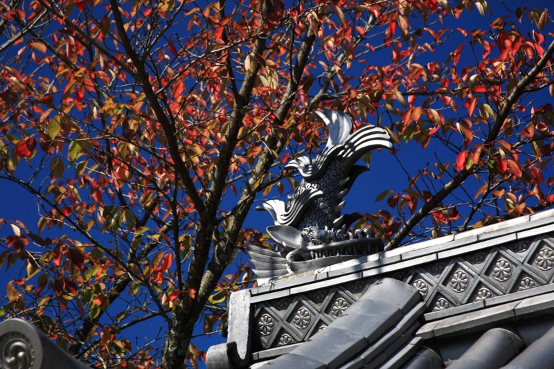 f:id:hiroshisj:20091021120649j:image