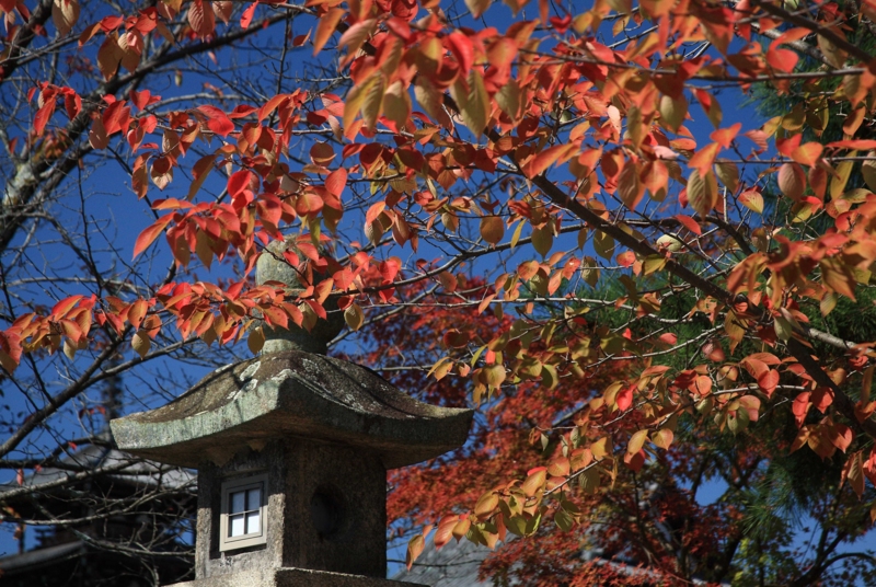 f:id:hiroshisj:20091021120839j:image