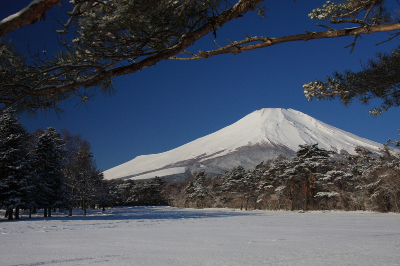f:id:hiroshisj:20100106110236j:image