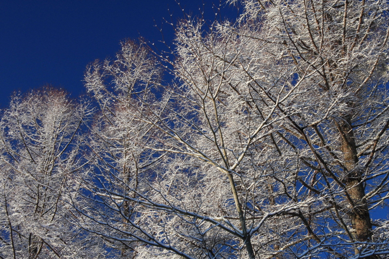 f:id:hiroshisj:20100106110309j:image
