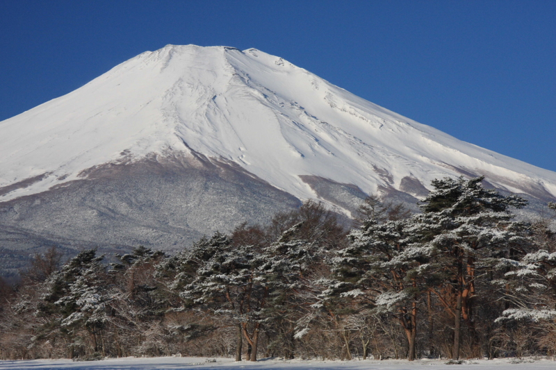 f:id:hiroshisj:20100106110323j:image