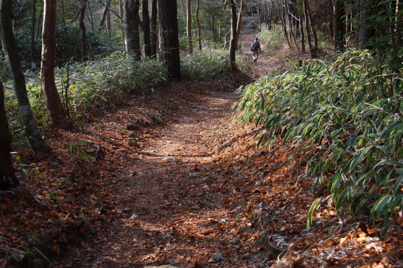 f:id:hiroshisj:20100114063056j:image