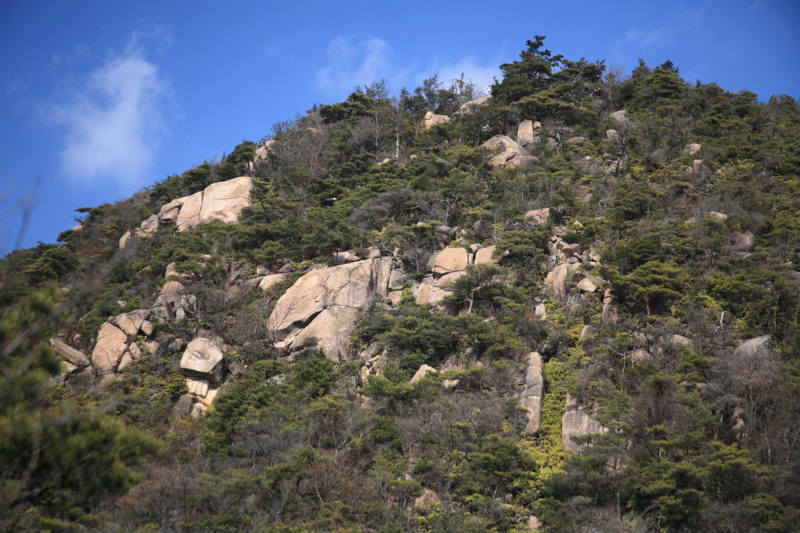 f:id:hiroshisj:20100222000704j:image