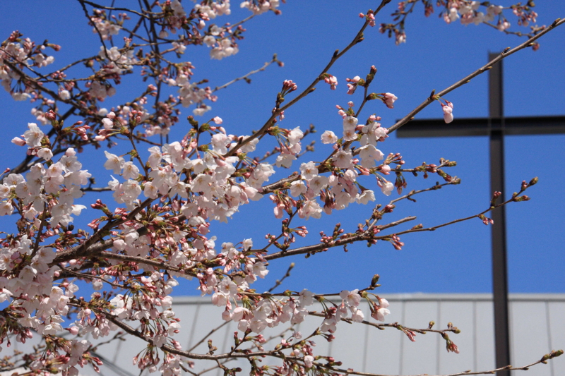 f:id:hiroshisj:20100331180037j:image f:id:hiroshisj:20100331180037j:image