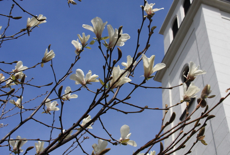 f:id:hiroshisj:20100403100232j:image f:id:hiroshisj:20100403100232j:image