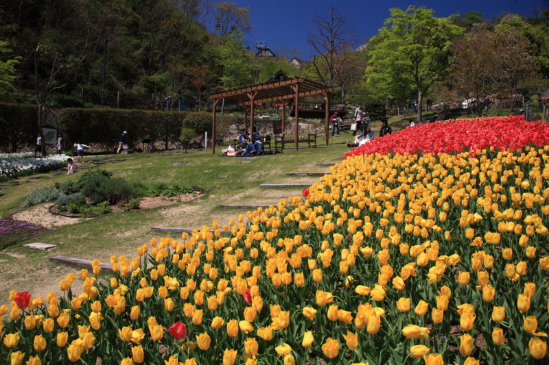 f:id:hiroshisj:20100428000831j:image