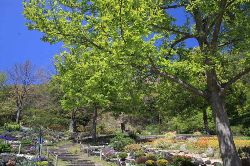 f:id:hiroshisj:20100428002211j:image