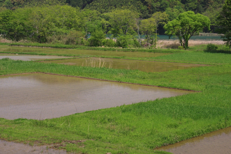 f:id:hiroshisj:20100504235550j:image