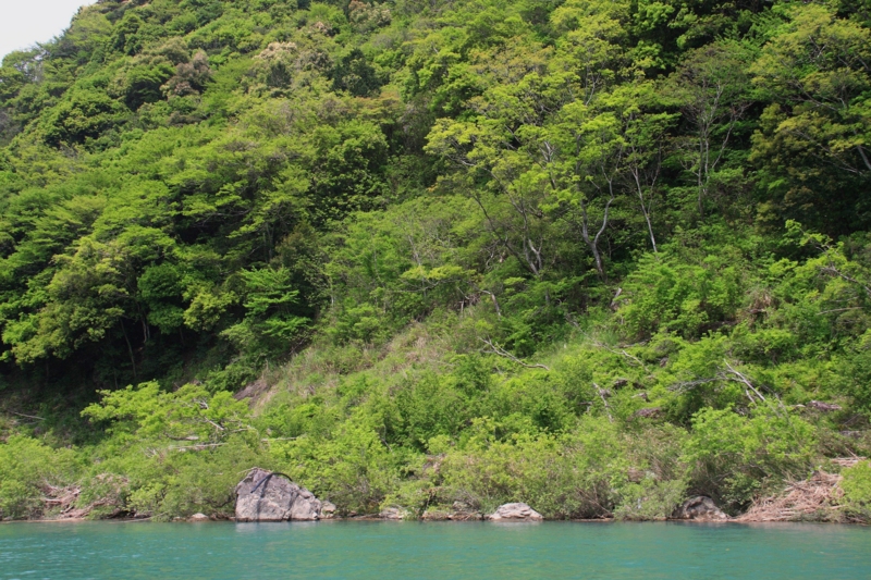 f:id:hiroshisj:20100509173406j:image