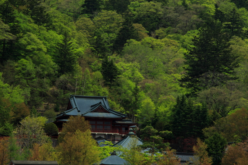 f:id:hiroshisj:20100526012545j:image