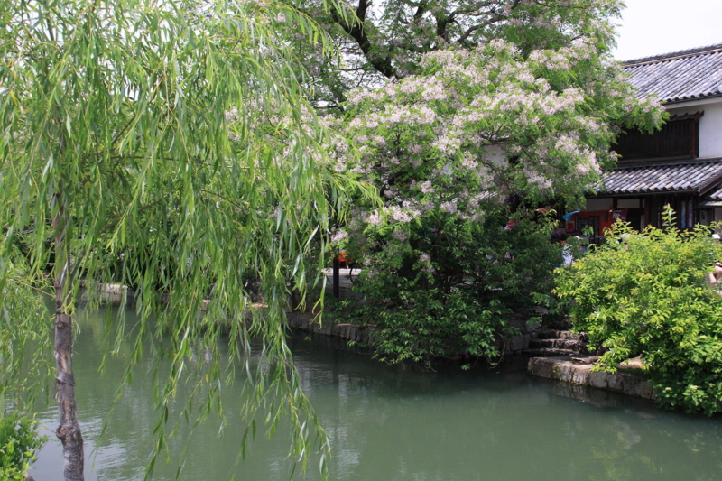 f:id:hiroshisj:20100531134436j:image