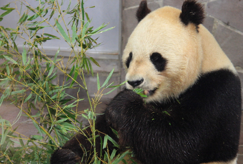 f:id:hiroshisj:20100620135425j:image f:id:hiroshisj:20100620135425j:image