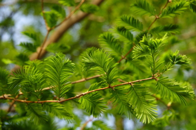 f:id:hiroshisj:20100623001807j:image:left f:id:hiroshisj:20100623001807j:image:left