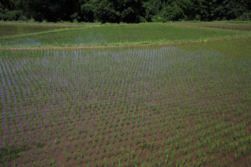 f:id:hiroshisj:20100706120133j:image f:id:hiroshisj:20100706120133j:image