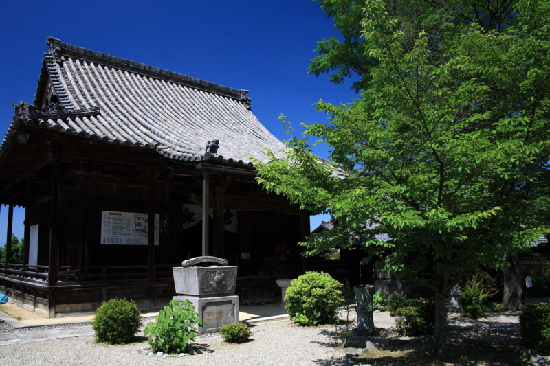 f:id:hiroshisj:20100706120158j:image f:id:hiroshisj:20100706120158j:image