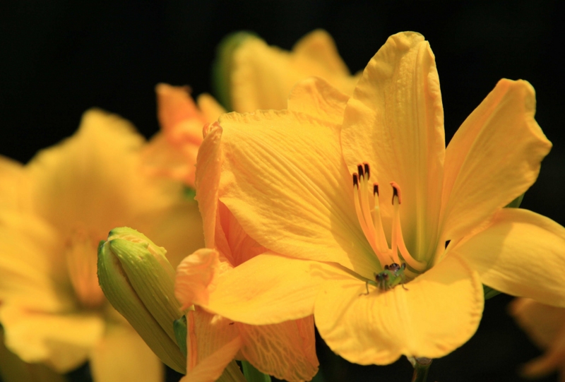 f:id:hiroshisj:20100717095516j:image