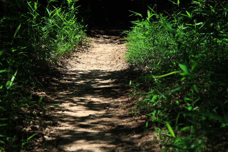 f:id:hiroshisj:20100719082650j:image