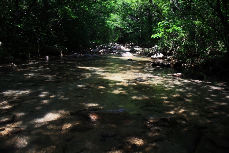 f:id:hiroshisj:20100719082708j:image