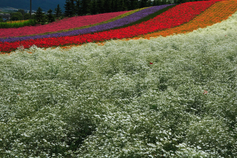 f:id:hiroshisj:20100722223047j:image