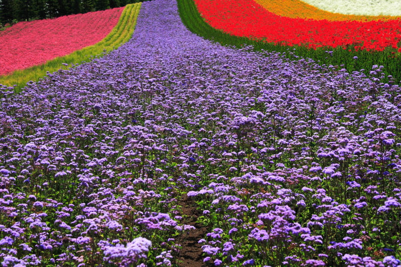 f:id:hiroshisj:20100722224243j:image