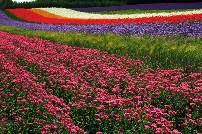 f:id:hiroshisj:20100722224253j:image