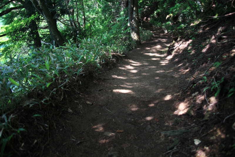 f:id:hiroshisj:20100802111654j:image