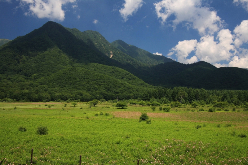 f:id:hiroshisj:20100802112957j:image