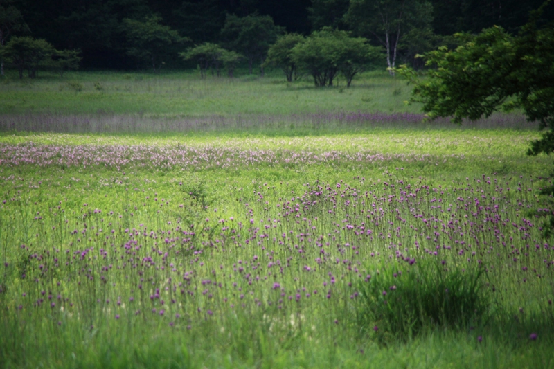 f:id:hiroshisj:20100802113027j:image