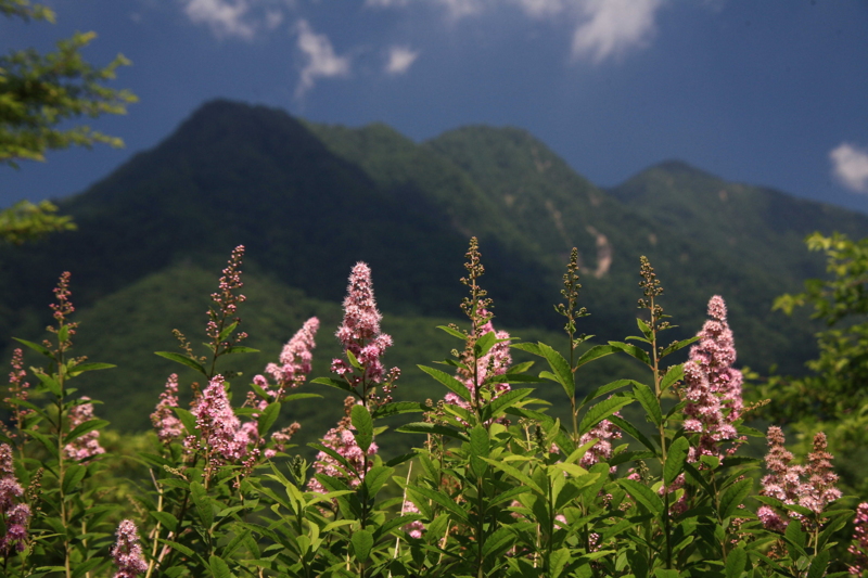 f:id:hiroshisj:20100802113041j:image