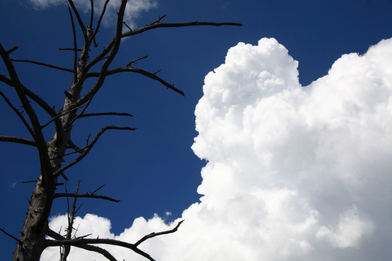 f:id:hiroshisj:20100816094952j:image f:id:hiroshisj:20100816094952j:image