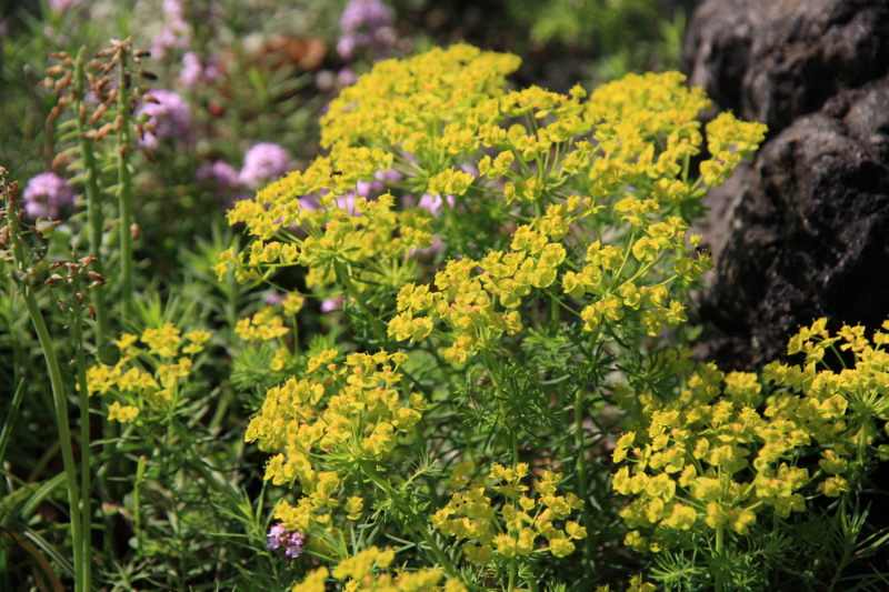 f:id:hiroshisj:20110514225642j:image