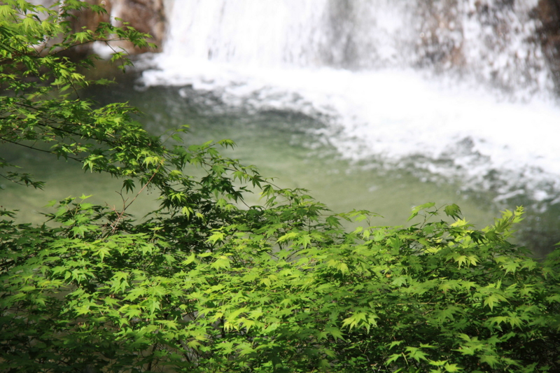 f:id:hiroshisj:20110516173125j:image f:id:hiroshisj:20110516173125j:image