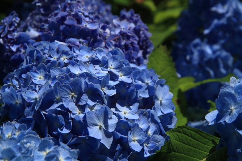f:id:hiroshisj:20110626121428j:image