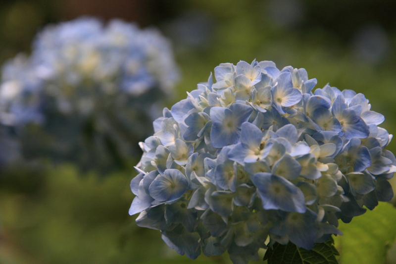 f:id:hiroshisj:20110626121522j:image
